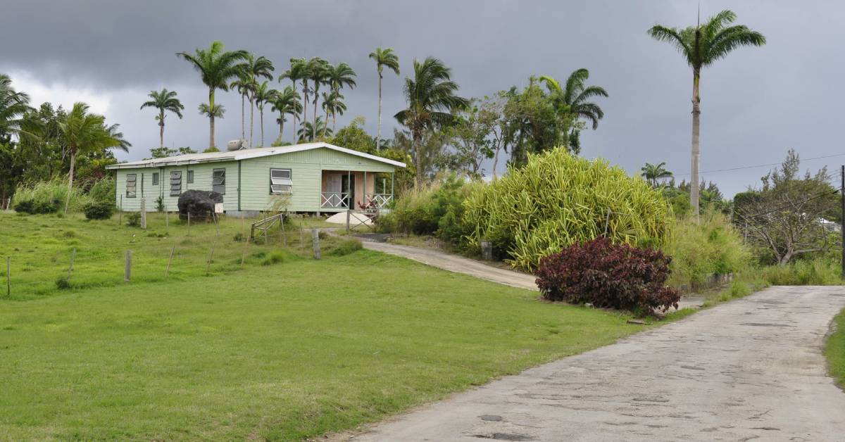 A home with multiple palm trees near it. There are also bushes nearby and the cloud is gray.