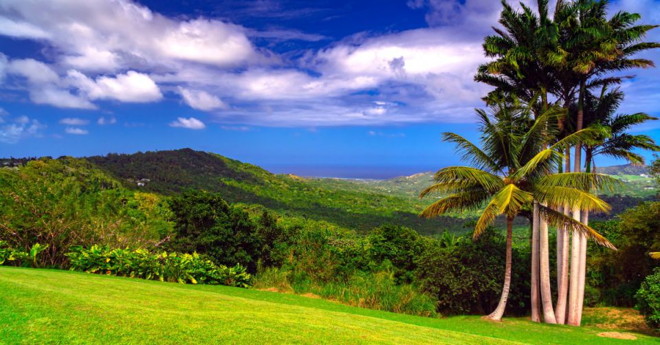 A plot of land with palm trees and bushes nearby. There are tree-covered hills in the distance and clouds in the sky.